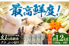 対馬産 クエ ぶつ切り 1.2kg 鍋用スープ付《対馬市》【島本水産】高級魚 新鮮 肉厚 本格的 海鮮 鍋セット フライ 煮付け アラ [WBI007]