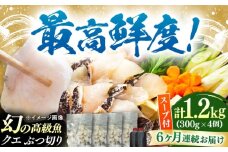 【全6回定期便】対馬産 クエ ぶつ切り 1.2kg 鍋用スープ付《対馬市》【島本水産】高級魚 新鮮 肉厚 本格的 海鮮 鍋セット フライ 煮付け アラ [WBI020]