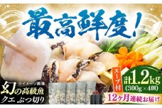 【全12回定期便】対馬産 クエ ぶつ切り 1.2kg 鍋用スープ付《対馬市》【島本水産】高級魚 新鮮 肉厚 本格的 海鮮 鍋セット フライ 煮付け アラ [WBI021]