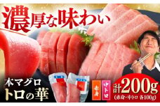 対馬産 本マグロ 200g（赤身100g、中トロ100g） ≪対馬市≫【桐谷商店】 トロの華 対馬 新鮮 マグロ 赤身 トロ 鮪 刺身 [WAQ059]