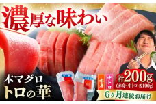 【全6回定期便】対馬産 本マグロ 200g（赤身100g、中トロ100g） ≪対馬市≫【桐谷商店】 トロの華 対馬 新鮮 マグロ 赤身 トロ 鮪 刺身 [WAQ061]