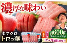 【全12回定期便】対馬産 本マグロ 600g（赤身300g、中トロ300g） ≪対馬市≫【桐谷商店】 トロの華 対馬 新鮮 マグロ 赤身 トロ 鮪 刺身 [WAQ070]