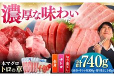 対馬産 本マグロ 740g（赤身300g、中トロ300g、切り落とし140g） ≪対馬市≫【桐谷商店】 トロの華 対馬 新鮮 マグロ 赤身 トロ 切り落とし 鮪 刺身 [WAQ079]