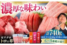 【全6回定期便】対馬産 本マグロ 740g（赤身300g、中トロ300g、切り落とし140g） ≪対馬市≫【桐谷商店】 トロの華 対馬 新鮮 マグロ 赤身 トロ 切り落とし 鮪 刺身 [WAQ081]
