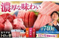 【全12回定期便】対馬産 本マグロ 740g（赤身300g、中トロ300g、切り落とし140g） ≪対馬市≫【桐谷商店】 トロの華 対馬 新鮮 マグロ 赤身 トロ 切り落とし 鮪 刺身 [WAQ082]