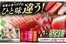 【12月中にお届け】対馬産 本マグロ 4種 計550g（赤身/中トロ/大トロ/ネギトロ）《対馬市》【対海】[WAH003-12] 