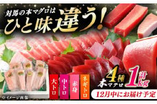 【12月中にお届け】対馬産 本マグロ 4種 計1kg（赤身/中トロ/大トロ/ネギトロ）《対馬市》【対海】[WAH004-12]