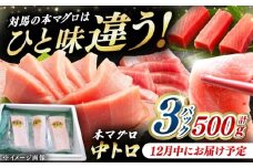 【12月中にお届け】対馬産 養殖 本マグロ 中トロ 500ｇ(3パック)《対馬市》【対海】 [WAH018-12]