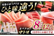 【12月中にお届け】対馬産 養殖 本マグロ 中トロ 1.2kg(8パック)《対馬市》【対海】[WAH020-12]