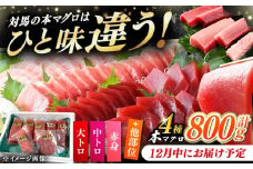 【12月中にお届け】対馬産 生 本マグロ 800g （赤身、中トロ、大トロ）《対馬市》 【対海】 [WAH026-12]