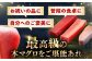 冷凍 マグロ まぐろ 中トロ 中とろ 鮪 本マグロ 赤身 ねぎとろ ネギトロ たたき トロ 刺身 海鮮 海産物 魚 柵 