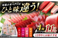 【12月中にお届け】対馬産 本マグロ 4種 計1.1kg（赤身/中トロ/大トロ/ネギトロ）《対馬市》【対海】[WAH028-12]