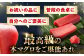 冷凍 マグロ まぐろ 中トロ 中とろ 鮪 本マグロ 赤身 ねぎとろ ネギトロ たたき トロ 刺身 海鮮 海産物 魚 柵 