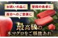 冷凍 マグロ まぐろ 中トロ 中とろ 鮪 本マグロ 赤身 ねぎとろ ネギトロ たたき トロ 刺身 海鮮 海産物 魚 柵 
