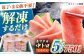 冷凍 マグロ まぐろ 中トロ 中とろ 鮪 本マグロ 赤身 ねぎとろ ネギトロ たたき トロ 刺身 海鮮 海産物 魚 柵 