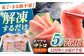 冷凍 マグロ まぐろ 中トロ 中とろ 鮪 本マグロ 赤身 ねぎとろ ネギトロ たたき トロ 刺身 海鮮 海産物 魚 柵 