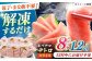 冷凍 マグロ まぐろ 中トロ 中とろ 鮪 本マグロ 赤身 ねぎとろ ネギトロ たたき トロ 刺身 海鮮 海産物 魚 柵 