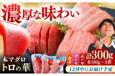 【12月中にお届け】対馬産 本マグロ 詰め合わせ 《 対馬市 》【 桐谷商店 】 [WAQ003-12]