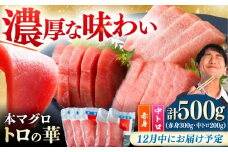 【12月中にお届け】対馬産 本マグロ 500g（赤身300g、中トロ200g） ≪対馬市≫【桐谷商店】 [WAQ043-12]