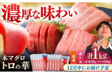 【12月中にお届け】対馬産 本マグロ 1kg（赤身500g、中トロ500g） ≪対馬市≫【桐谷商店】[WAQ051-12]