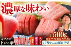【12月中にお届け】対馬産 本マグロ 500g（赤身200g、中トロ200g、大トロ100g）≪対馬市≫【桐谷商店】[WAQ055-12]