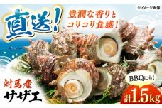対馬直送！ サザエ 1.5kg 《対馬市》【うえはら株式会社】 産地直送 冷凍配送 さざえ 栄螺 BBQ 魚介 海鮮 対馬 長崎 刺身 つぼ焼き [WAI094]