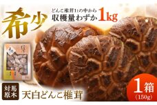 対馬 原木 天白どんこ椎茸 1箱（150g）《対馬市》【うえはら株式会社】 対馬産 肉厚 しいたけ 乾燥 きのこ [WAI119]