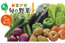 旬の野菜 7品セット 《壱岐市》【壱岐市農業協同組合】[JBO001] 野菜 ベジタブル 食材 詰め合わせ 産地直送 野菜セット グルメ 春 夏 秋 冬 旬 サラダ 冷蔵 夏野菜 スムージー 10000 10000円