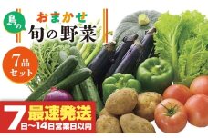 旬の野菜 7品セット 《壱岐市》【壱岐市農業協同組合】[JBO001] 野菜 ベジタブル 食材 詰め合わせ 産地直送 野菜セット グルメ 春 夏 秋 冬 旬 サラダ 冷蔵 夏野菜 スムージー 10000 10000円