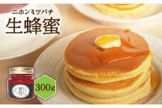 ニホンミツバチ 生蜂蜜 300g《壱岐市》【憲ちゃんハチミツ】[JCL002] はちみつ ハチミツ 蜂蜜 日本蜜蜂 国産 非加熱 17000 17000円