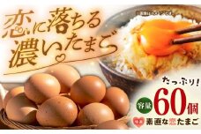 特選 素直な恋たまご 60個 《壱岐市》【しまのたまご屋さん】 [JAP001] 卵 たまご 鶏卵 玉子 ギフト 国産 もみじ 卵かけご飯 たまごかけご飯 のし プレゼント ギフト 13000 13000円