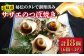 人気 新鮮 海鮮 特産品 贈り物 ギフト   魚介 ごはんのお供 朝食 昼食 夕
