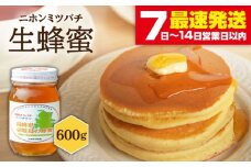ニホンミツバチ 生蜂蜜 600g《壱岐市》【憲ちゃんハチミツ】[JCL001] はちみつ ハチミツ 蜂蜜 日本蜜蜂 国産 非加熱 30000 30000円