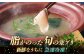 人気  新鮮 海鮮 特産品 贈り物 ギフト  魚介 ごはんのお供 朝食 昼食 夕