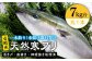 人気  おすすめ オススメ 天然ぶり 天然ブリ 天然鰤 しゃぶしゃぶ ぶりしゃぶ