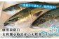 人気  おすすめ オススメ 天然ぶり 天然ブリ 天然鰤 しゃぶしゃぶ ぶりしゃぶ