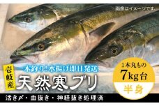 壱岐島産天然寒ブリ（一本丸ものサイズ7キロ台の半身ブロック） 《壱岐市》【壱岐島　玄海屋】[JBS009] ぶり 寒ぶり ブリ 魚 刺身 しゃぶしゃぶ 52000 52000円 
