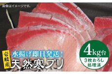 壱岐島産 天然寒ブリ（4キロ台・3枚おろし） 《壱岐市》【壱岐島　玄海屋】[JBS010] ぶり 寒ぶり ブリ 魚 刺身 しゃぶしゃぶ ぶりしゃぶ 天然 処理済 4kg 3枚おろし 47000 47000円