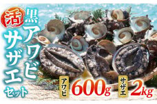 活アワビ600g・活サザエ2kg《壱岐市》【丸和水産】[JCJ003] あわび アワビ 鮑 サザエ さざえ 栄螺 刺身 刺し身 お刺身 海産物 鮮魚 海鮮 冷蔵 魚介 貝 生 46000 46000円