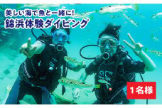 ダイビング  体験  錦浜 《壱岐市》【シーガルイン】[JAB002] 旅行 海 アウトドア ダイビング 33000 33000円 