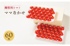 【先行予約】【贈答用トマト】ママなかせ 2kg 計60粒【2025年12月以降順次発送】《壱岐市》【壱岐の潮風】[JAE004] トマト ミディトマト フルティカ 野菜 ギフト ギフトボックス プレゼント 贈り物 化粧箱 21000 21000円