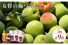 梅干し ハチミツ梅 生はちみつ 女将の梅づくし 《壱岐市》【平山旅館壱岐もの屋】[JAI006] 25000 25000円