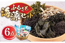 ふるさと海藻セット 6種《壱岐市》【本尾海産】[JAR001] 海藻 わかめ ひじき あおさのり あおさ かじめ いりこ ワカメ 12000 12000円 1万円