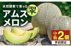 【先行予約】アムスメロン「翠」 2玉（中箱）【2026年6月中旬以降順次発送】《壱岐市》【フレッシュメイト壱岐】[JAZ004] メロン めろん アムスメロン 果物 くだもの 果実 フルーツ デザート ギフト 贈答 プレゼント 13000 13000円