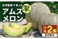 メロン めろん アムスメロン 果物 くだもの 果実 フルーツ デザート ギフト 