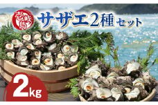 壱岐島 サザエ 2種セット 合計約2kg 《壱岐市》【マルショウ水産】[JBB002] 25000 25000円 お刺身 産地直送 冷蔵配送 サザエ さざえ 栄螺 つぼ焼き 冷蔵 生 刺身 BBQ