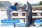 体験 いるか イルカ トレーナー ふれあい 海 マリンスポーツ チケット