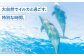 体験 チケット いるか イルカ トレーナー ふれあい 動物 アクティビティー