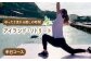 体験 イルカ いるか ふれあい 森林 散策 ピラティス アクティビティ アクティ