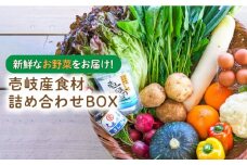壱岐産 食材詰め合わせ 野菜   《壱岐市》【壱岐イルカパーク＆リゾート】[JBF009] 23000 23000円
